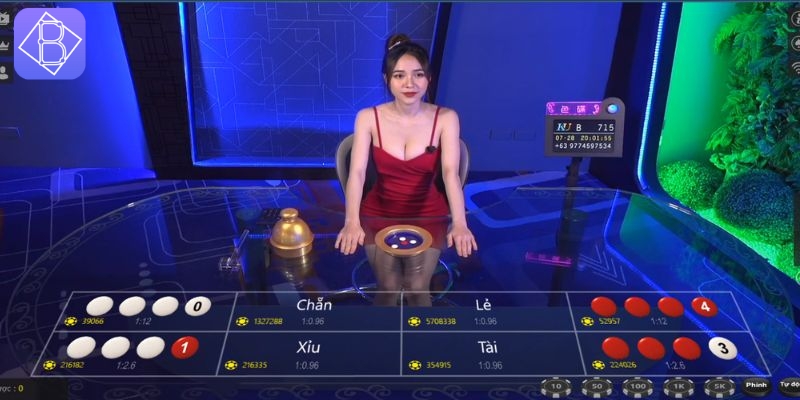 Chọn tools hack uy tín để dự đoán chính xác, tránh mất tiền oan